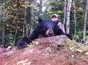 September Black Bear Hunting, beautiful black bear