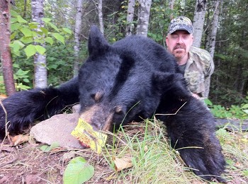 Massive trophy bear caught in Ontario at Dog Lake Resort