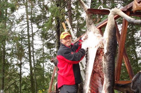 Moose Skinning, Ontario